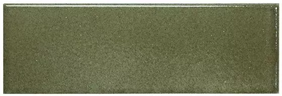 Evergreen Light 5x15